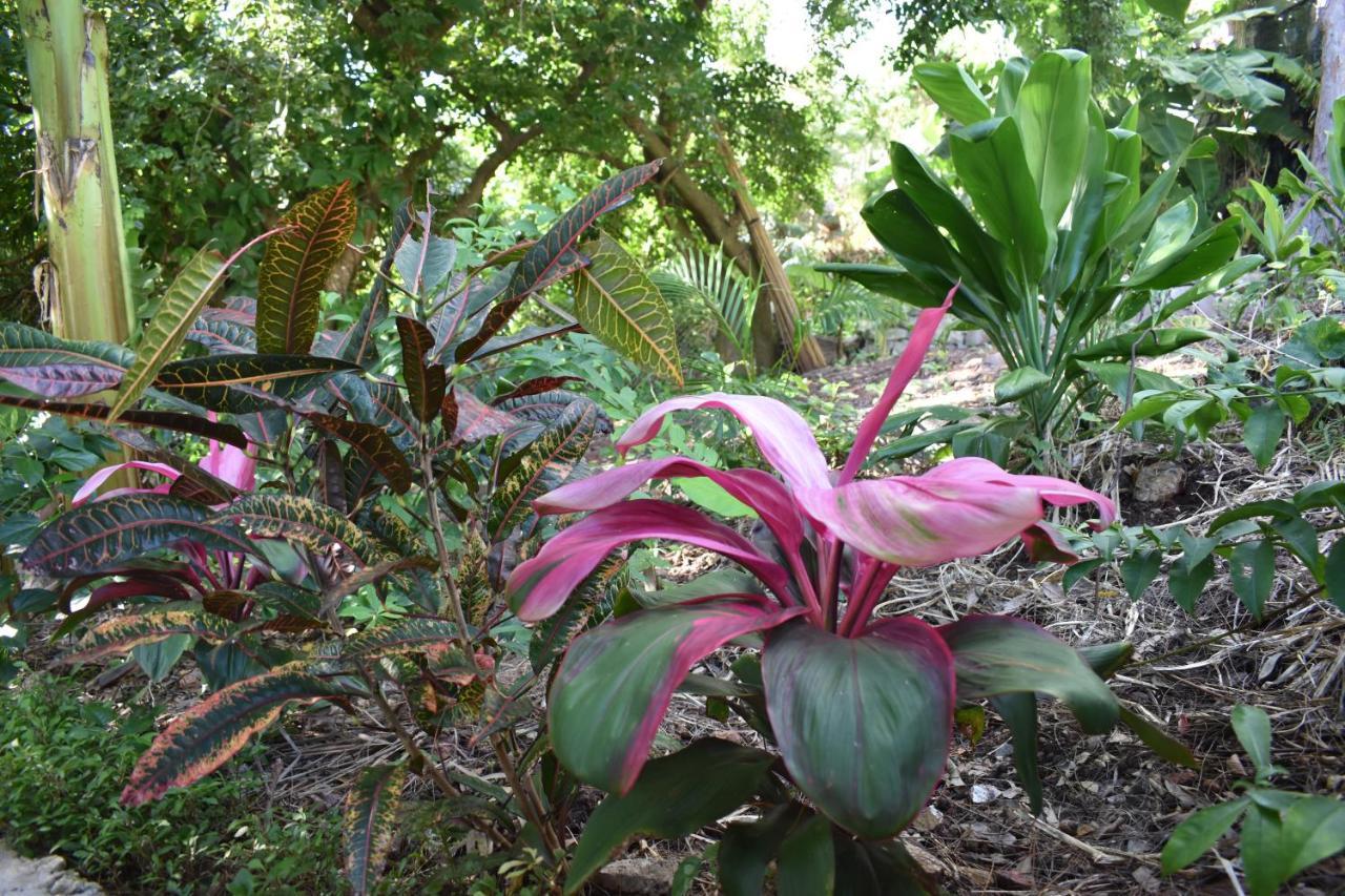 Bed and Breakfast Les Antigones Port Mathurin Exterior foto